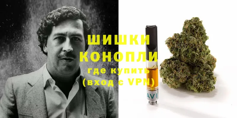 Бошки марихуана SATIVA & INDICA  дарнет шоп  Тайга 